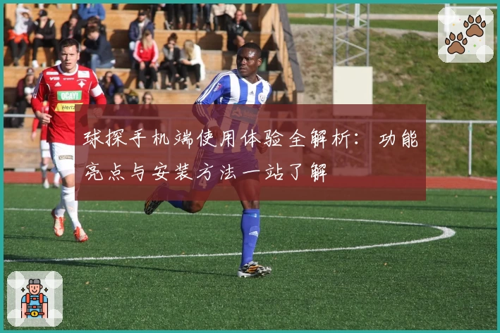 球探手机端使用体验全解析：功能亮点与安装方法一站了解