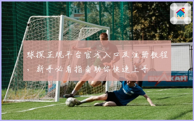 球探正规平台官方入口及注册教程，新手必看指南助你快速上手